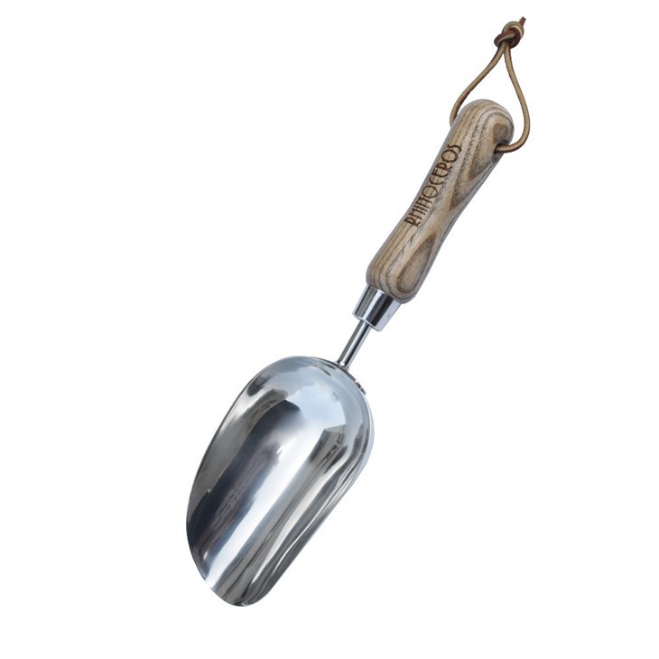 Nerjaveèi asye jaden skoup