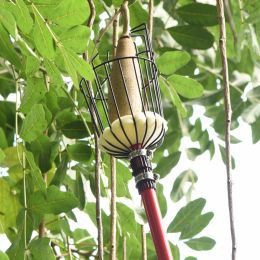 Ki sa mwen ta dwe peye atansyon sou lè rekòlte pòm?