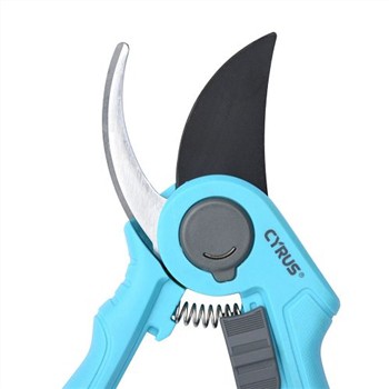 Plizyè modèl LOGO souvan itilize pa Rinoseròs