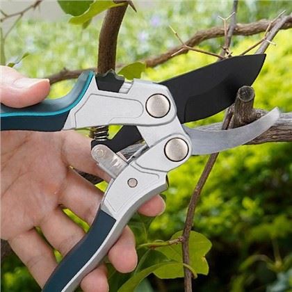 Chwazi koupe pafè pou pye pòm ou yo: Gid yon jaden