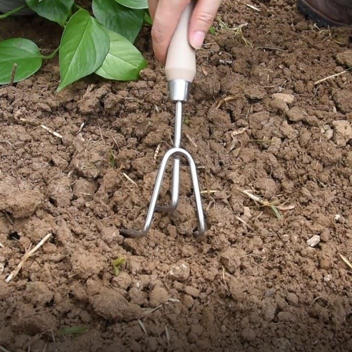3 Tine Cultivator With Short Handle