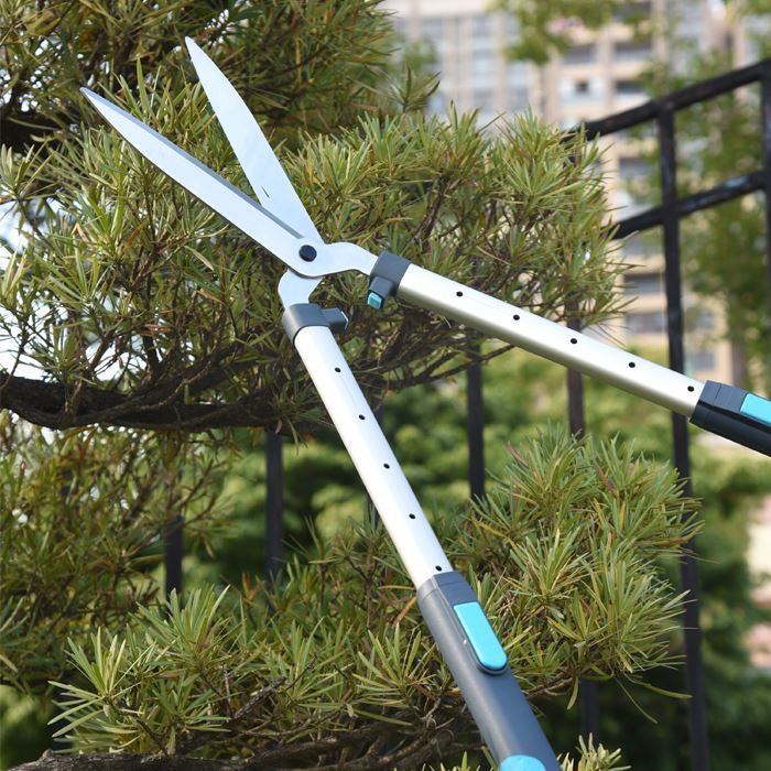 Extra Long Telescopic Hedge Shears