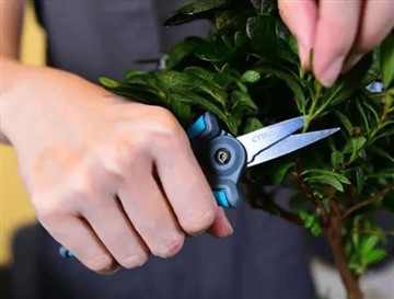 Poukisa nou te lanse nouvo ak pi gwo sizo yo