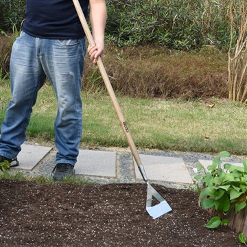 Benefis ki genyen nan kòmanse yon jaden legim