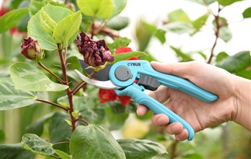 Avantaj yo nan pouvwa ak zouti koupe men