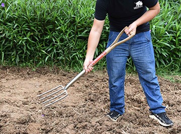 Entwodiksyon kout nan kilti jaden Ris