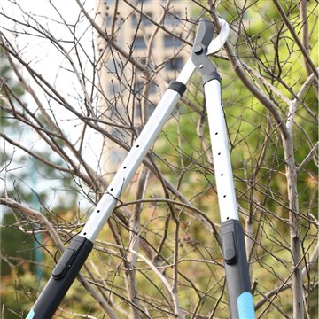 Koupe ak koupe: Tandans pou fanmi mwen Garde