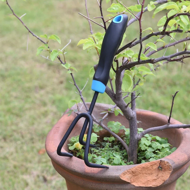 Carbon Steel men Kiltivatè