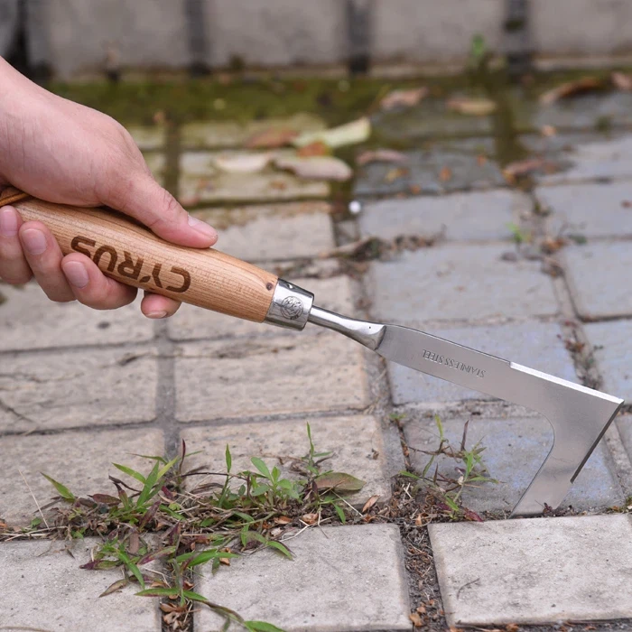 Sarkle jaden an te fè fasil ak yon sarkle men Nerjaveèi