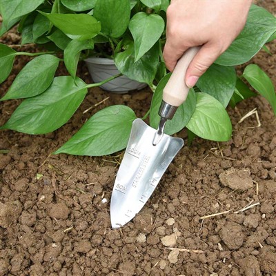 Jounal pou plante jaden -1