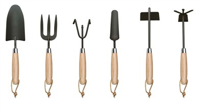 Plante tomat nan kay la