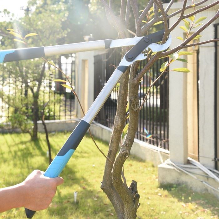Long Handled Pruners Loppers