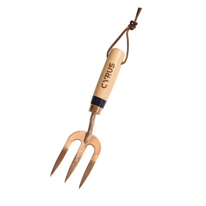 Nerjaveèi asye jaden men fouchèt