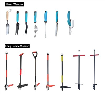 Kiltive Green: Anbrase dirabilite nan jaden ou