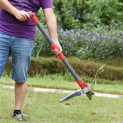 Ki jan yo retire move zèb san yo pa koube?